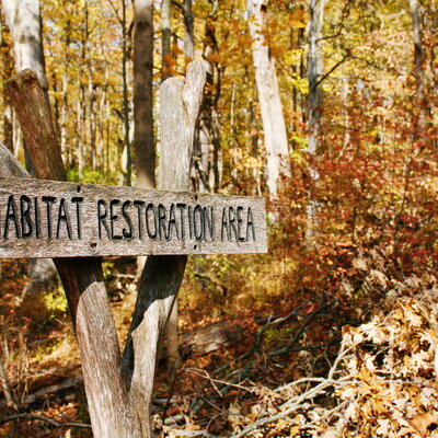 Habitat restoration area